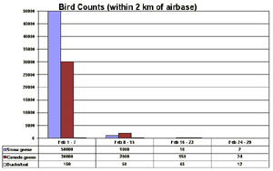 Bird Counts